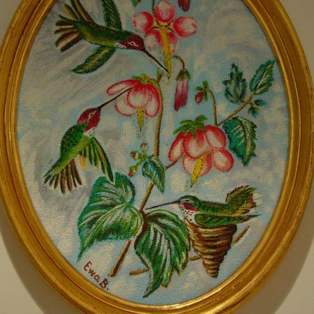 Colibris